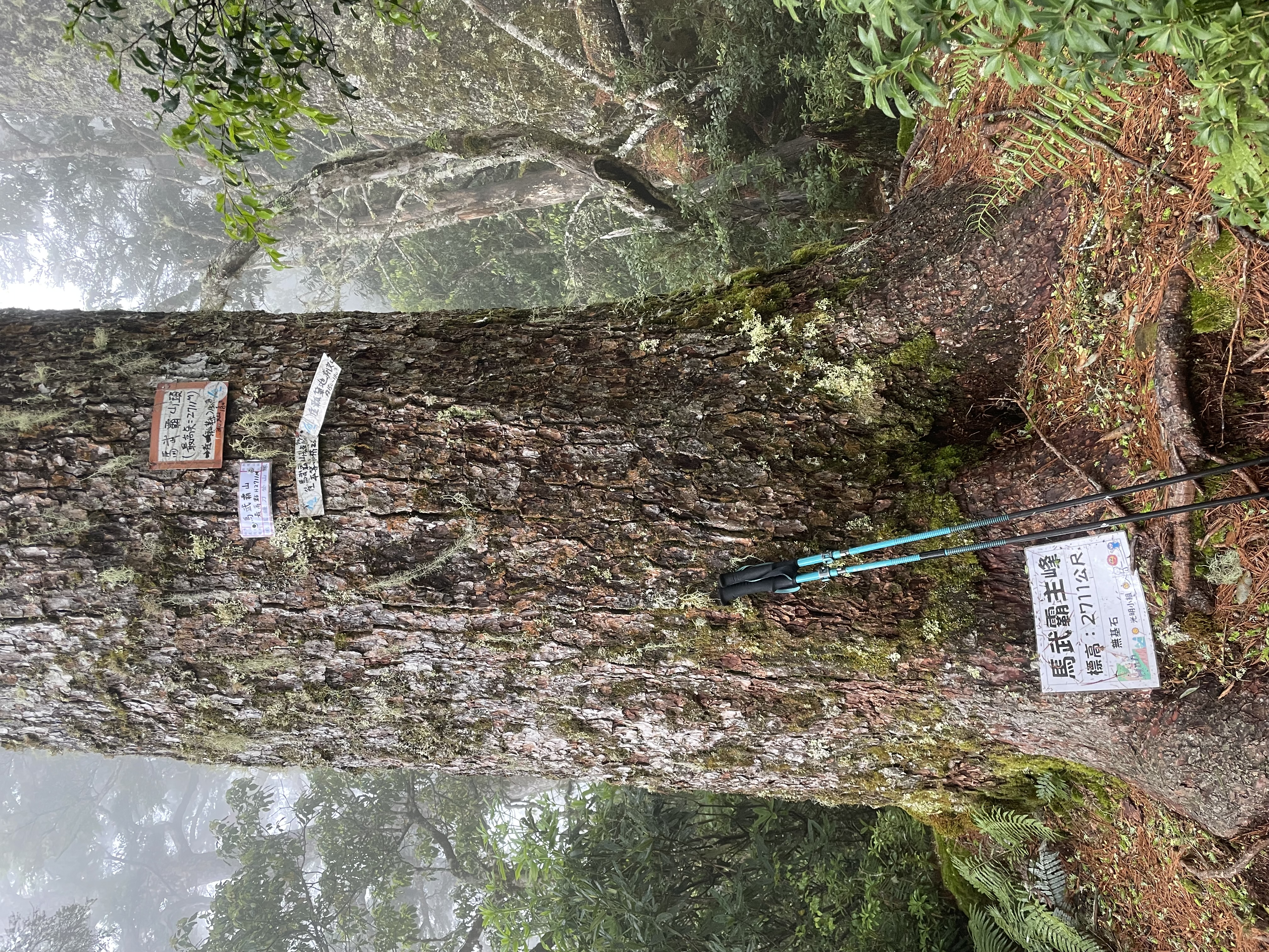 馬武霸主峰